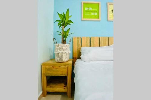 Apartamento Coquillage B