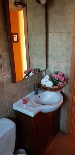 Apartamento La Hacienda Del Campo