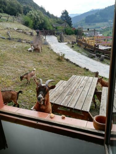 Apartamento La Hacienda Del Campo