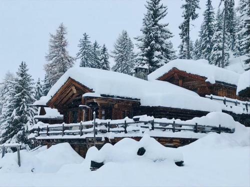 Artsy Luxurious Ski-in-out-chalet