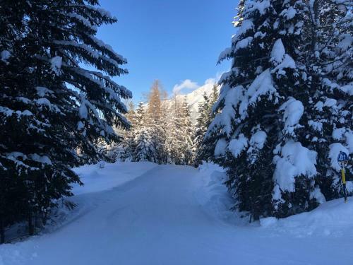 Apartamento Grenzberg - Bad Gastein