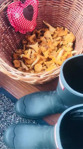 Apartamento Forsthaus Malerwinkel