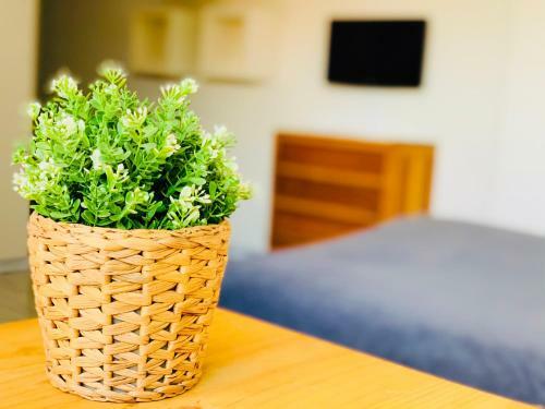 Apartamento Estudio 4 En El Centro De Pontevedra