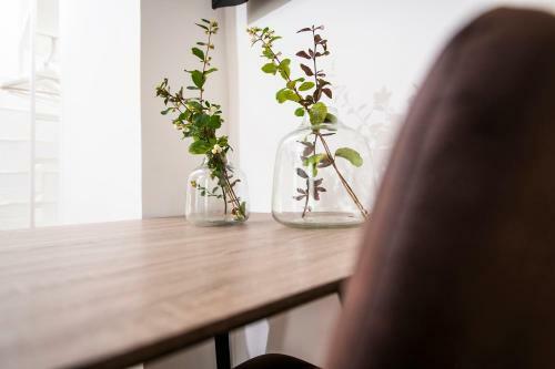 Apartamento Franzls Panorama Appartements