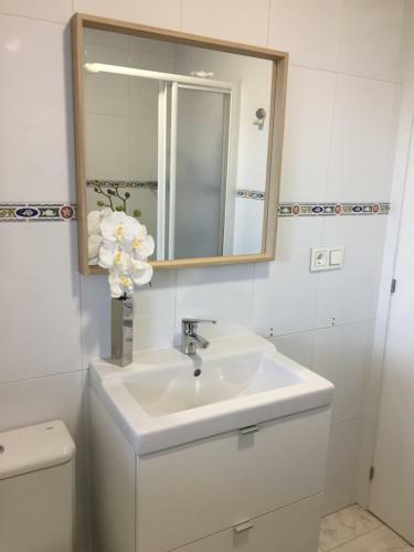 Apartamento Estudio Cool Montalvo�s Beach