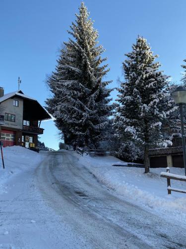 Hostal Gasthaus Luggwirt