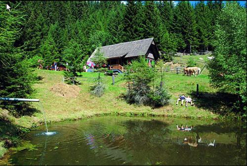 Hotel Panoramadorf Saualpe