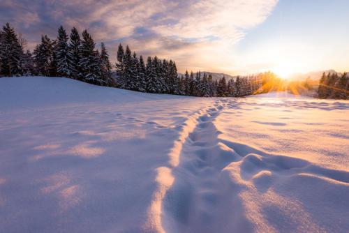 Hotel Panoramadorf Saualpe