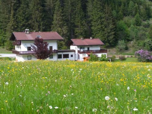 Hostal Adlerhorst