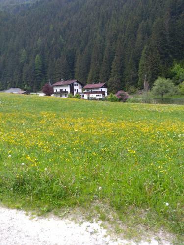 Hostal Adlerhorst