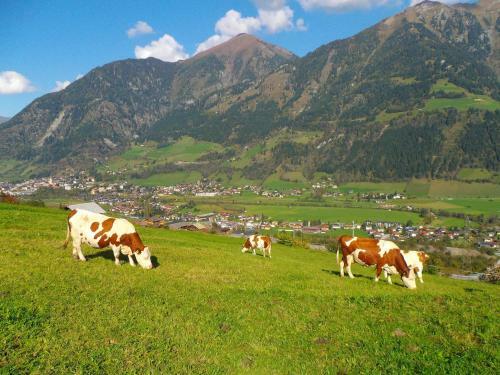 Agroturismo Biobauernhof Aslgut