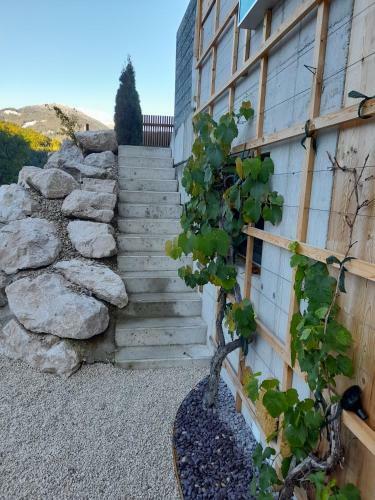 Apartamento Auszeit Am Weinb�hel
