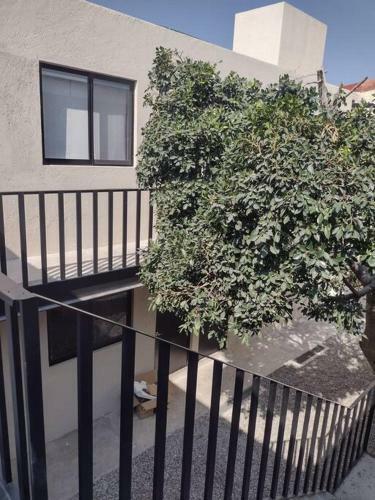 Apartamento +ms +loft Inmejorable +c�modo +internet 119f
