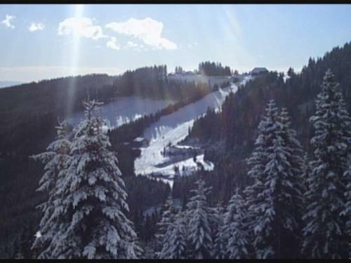 Bischofh�tten