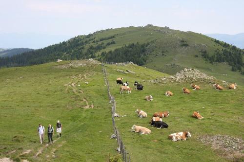 Bischofh�tten