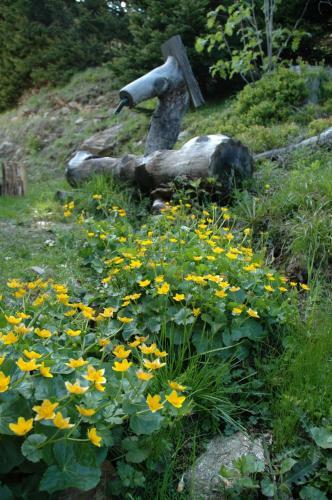 Bischofh�tten