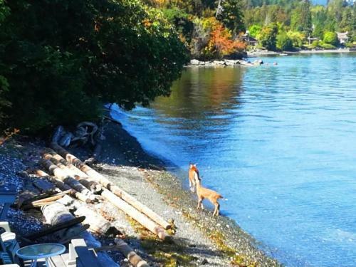 Hostal Rainbow Land Inn