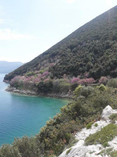 Apartamento Villa Fredi