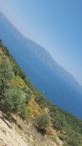 Apartamento Villa Fredi