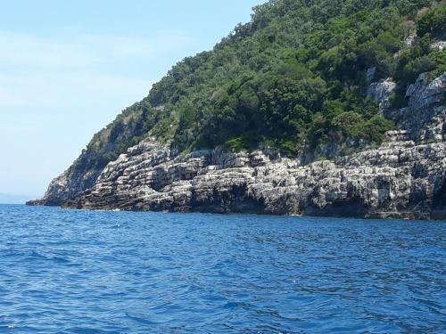 Apartamento Zija Hasani