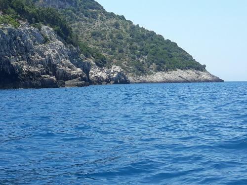 Apartamento Zija Hasani