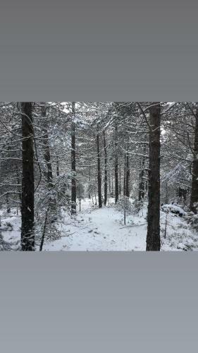 Apartamento Zija Hasani