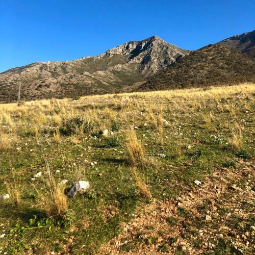 Apartamento Villa Dei Fiori