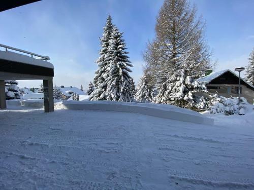 Villa Apartm�ny Laura