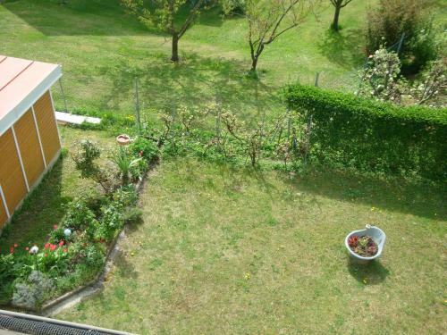 Bed & Breakfast Haus Camelia