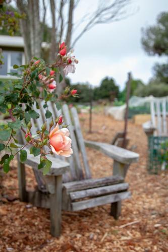 Hostal Kereru Cottage