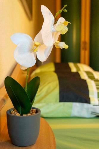 Apartamento Casa Lauda In Bad Voeslau