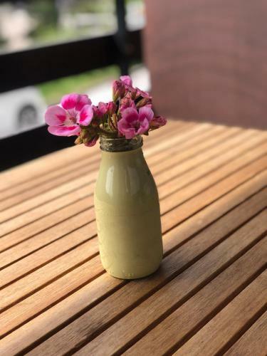 Apartamento Studio Aiglon