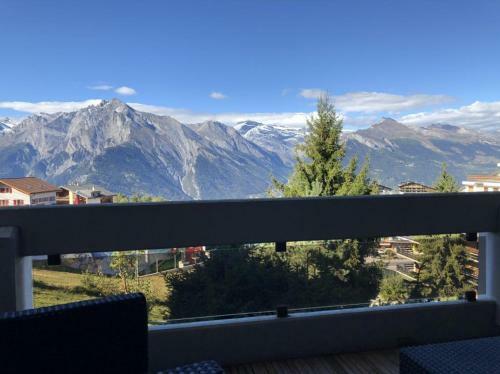 Apartamento Studio Hauts-de-nendaz G2 Ski In-out