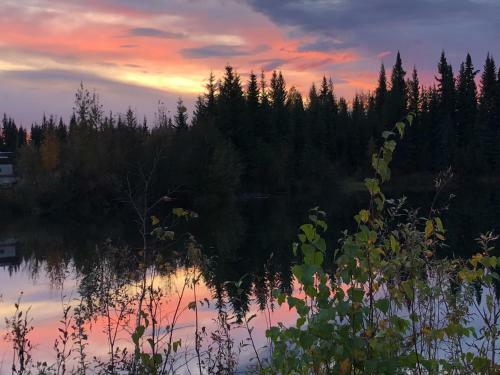 Hostal Alaska Log Cabins On The Pond
