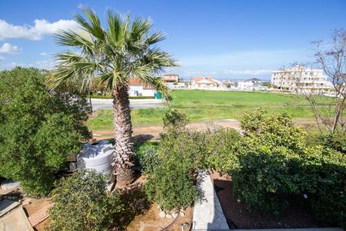 Villa The Strovilion Estate