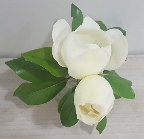 Apartamento Magnolija