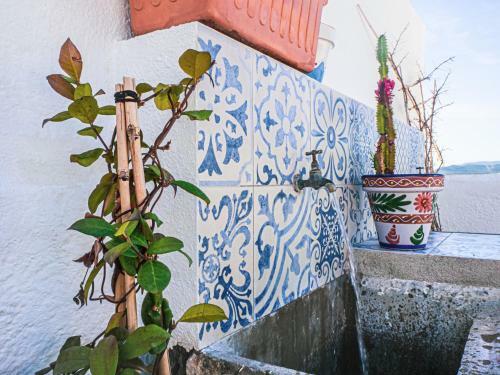 Apartamento Camar�a Castillo 2�
