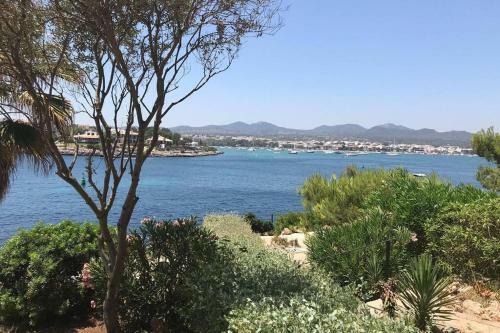 Es Niu