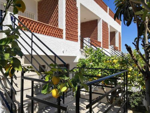 Apartamento A H Rentals Casa Rovira Apto 1