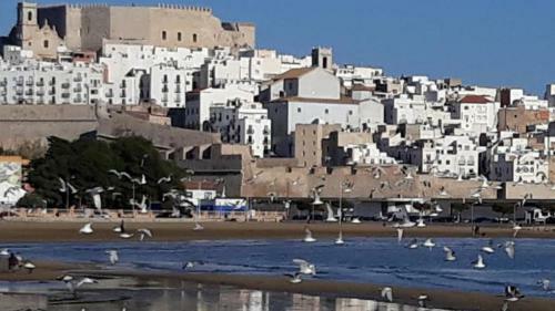 Apartamentos Boutique Pe��scola Playa