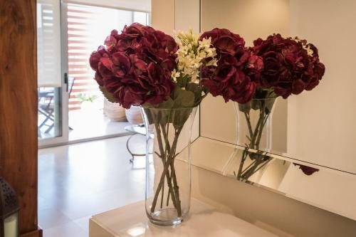 Apartamento Boutique Lu Ambassador