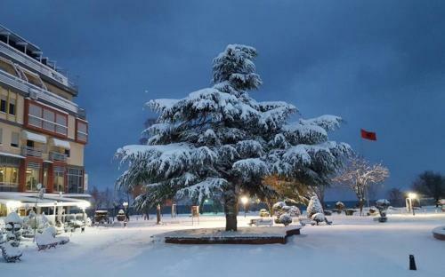 Apartamento Appartamento Centro