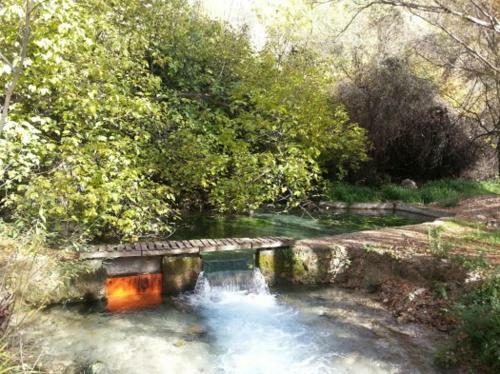 Apartamentos Cazorla-alcon