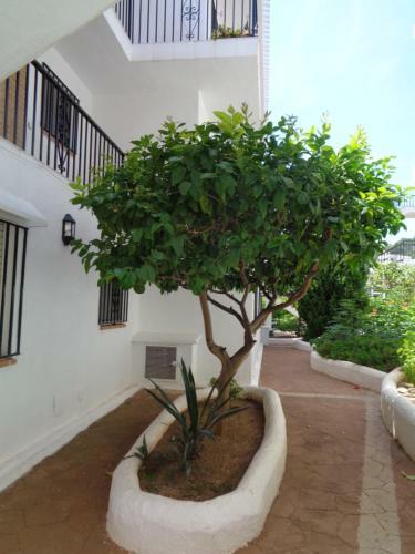 Apartamento Heco