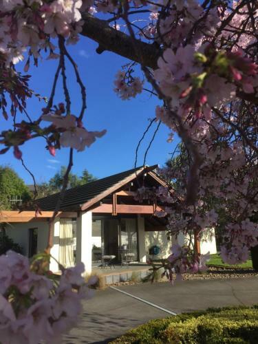 Olive Hill Guest Lodge