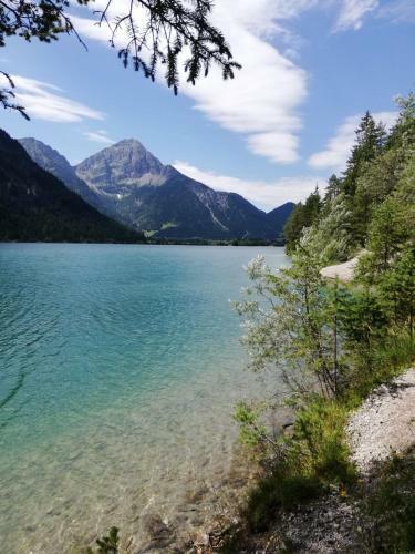 Apartamento Haus Resswald