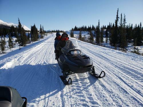 Denali Wild Stay - Moose Cabin, Free Wifi, 2 Private Bedrooms
