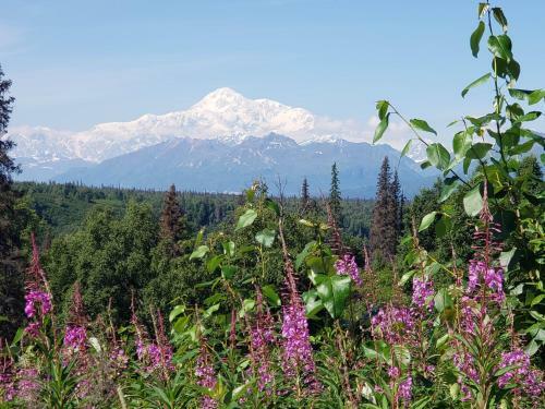 Denali Wild Stay - Moose Cabin, Free Wifi, 2 Private Bedrooms