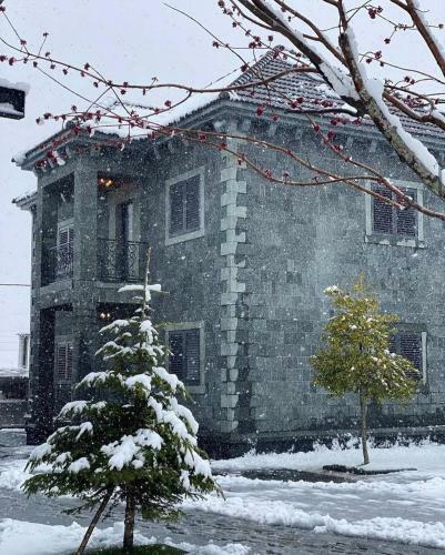 Hostal Iballe Guesthouse