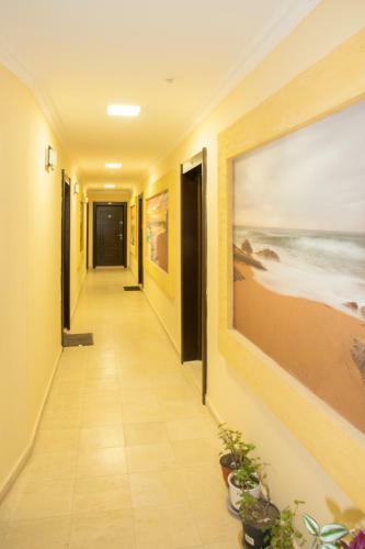 Apartment Elimar